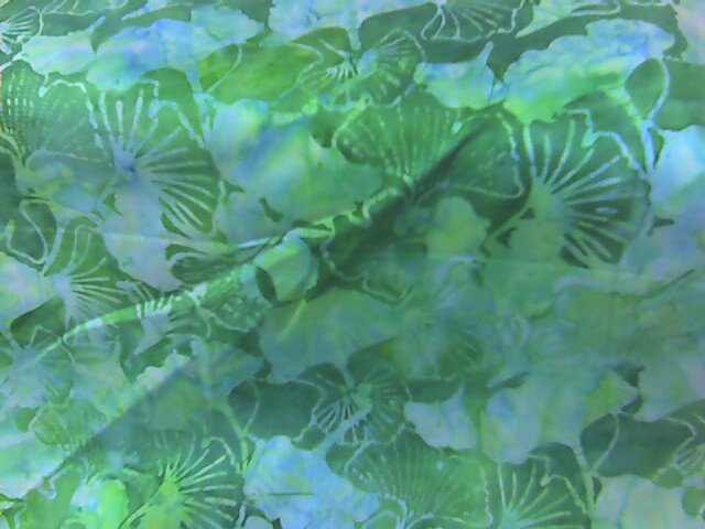 photo_051008_005 photo_051008_005