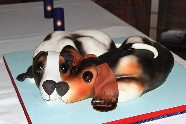 kimberly-dogs