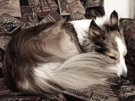 20120228-204725.jpg
